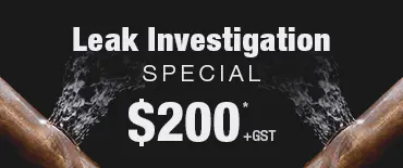 Leak Investigation Discount Wattle Downs